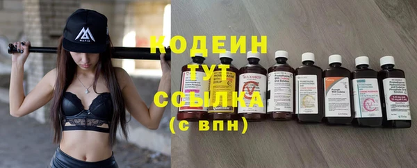 индика Инсар