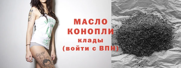 индика Инсар