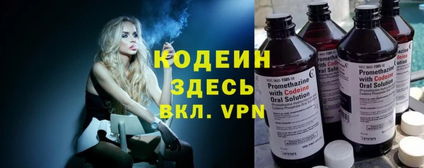 индика Инсар