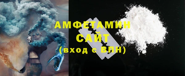 индика Инсар