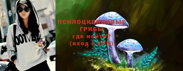 индика Инсар