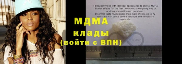 индика Инсар