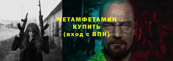 индика Инсар