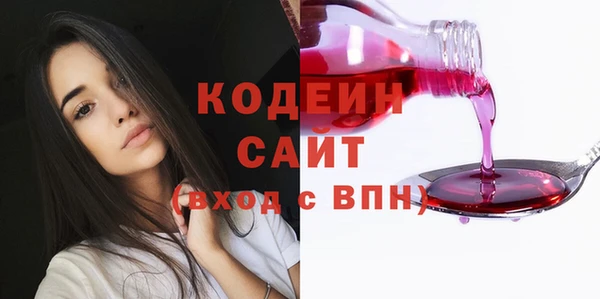 индика Инсар
