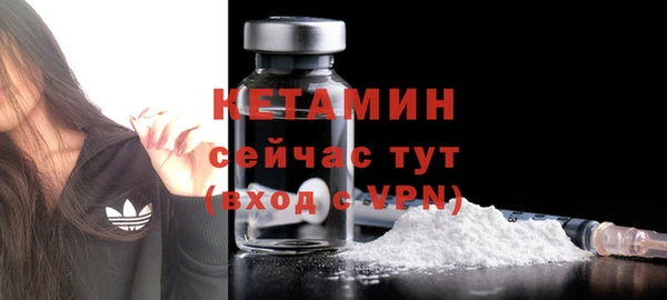 индика Инсар