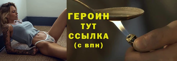 индика Инсар