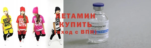 индика Инсар