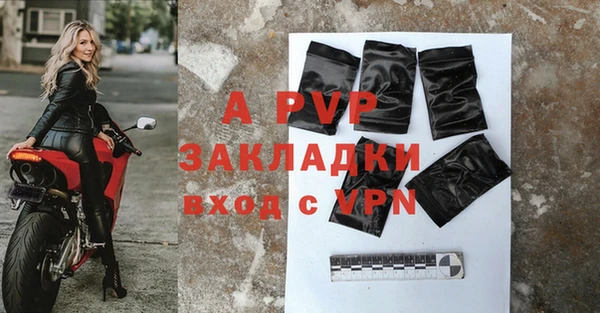 индика Инсар
