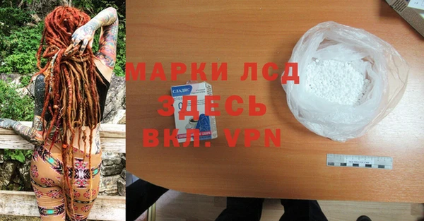 индика Инсар