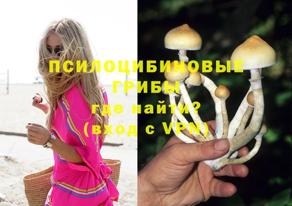 ешки Инта