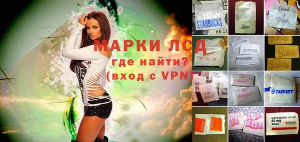 индика Инсар