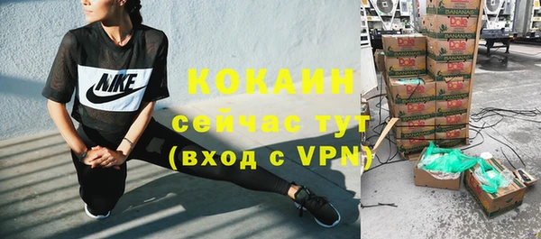 ешки Инта