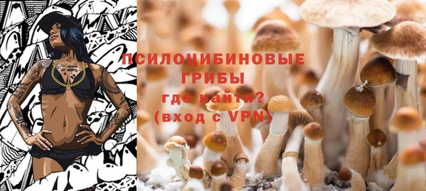 ешки Инта