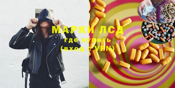 индика Инсар