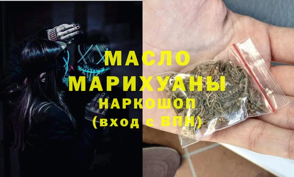 ешки Инта