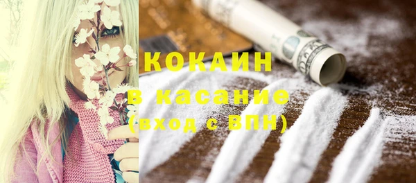 ешки Инта