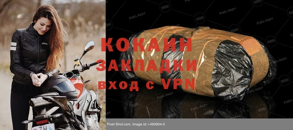 индика Инсар