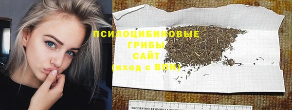 ешки Инта