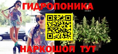 крисы Волжский