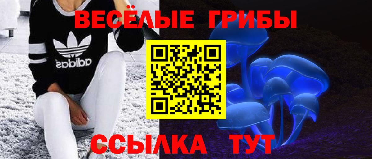 Галлюциногенные грибы мицелий  Вход с VPN  Волгодонск 