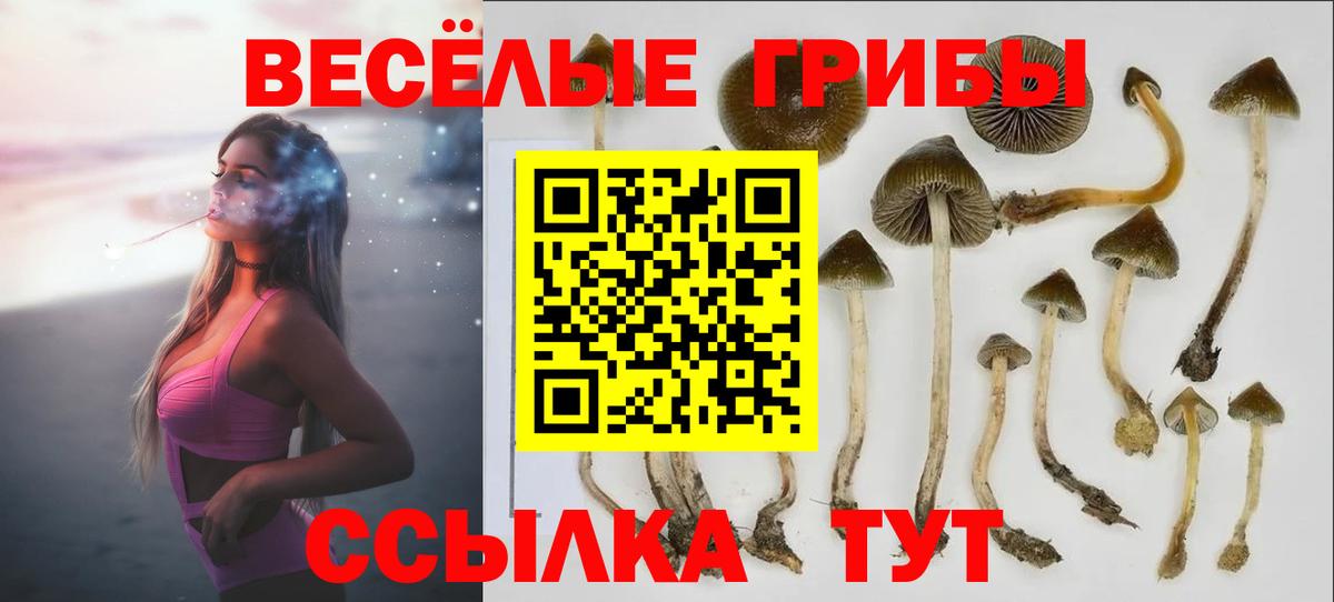 Галлюциногенные грибы мицелий Волгодонск
